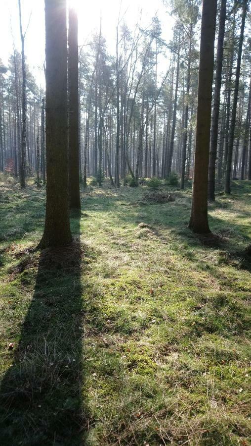 Apartmán Anna Czarny Mlyn Exteriér fotografie